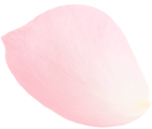 petal